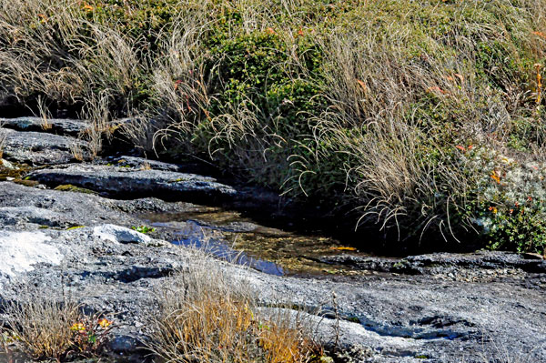 water in the rocks